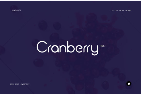 Cranberry: A Display Font That Makes Your Brand Feel Instantly Polished